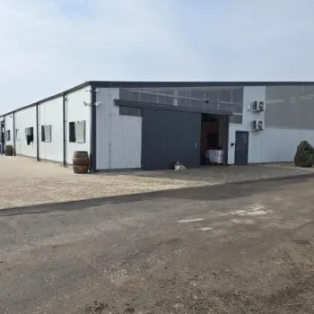 Ustájení koní